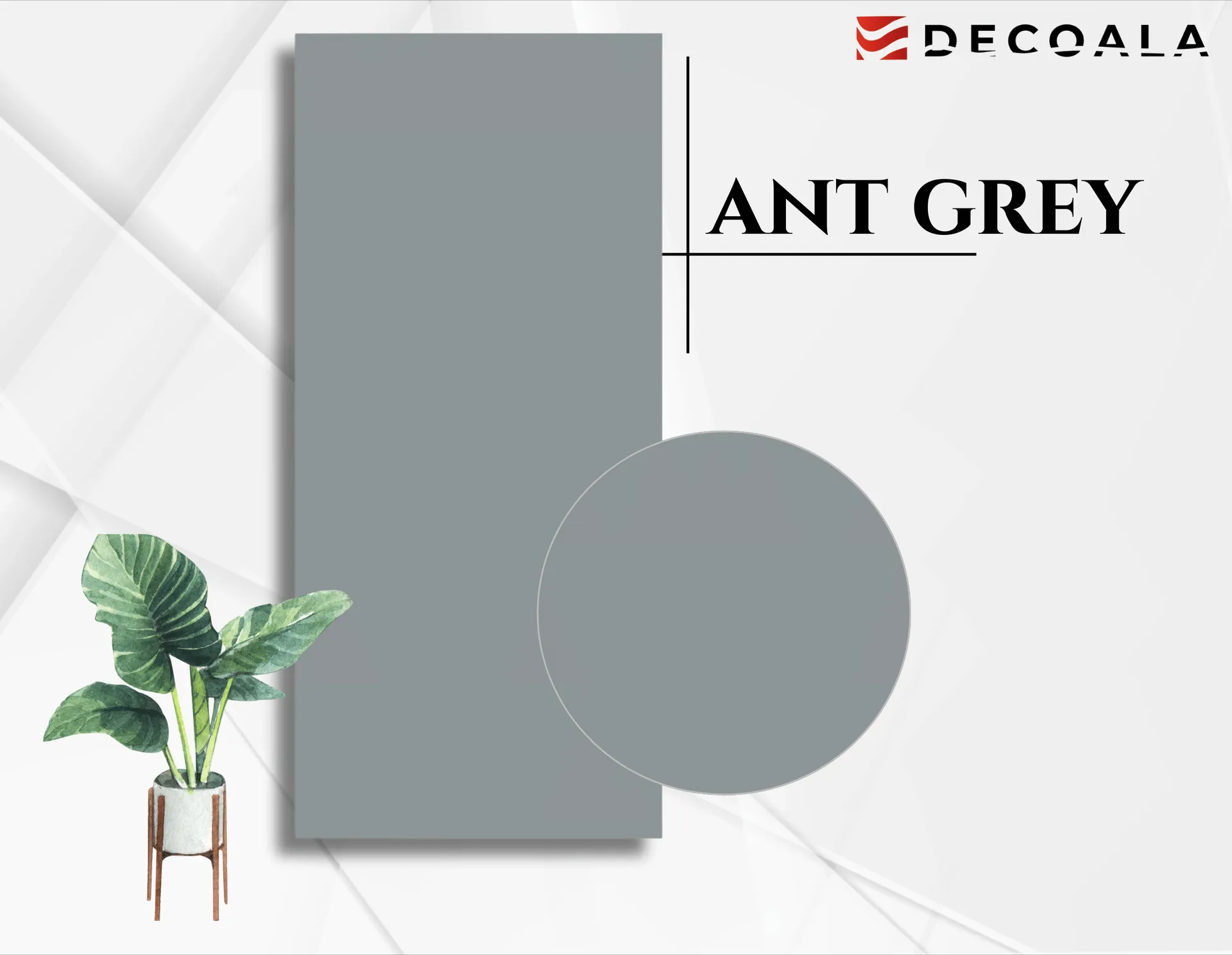 Ant Grey görseli 3